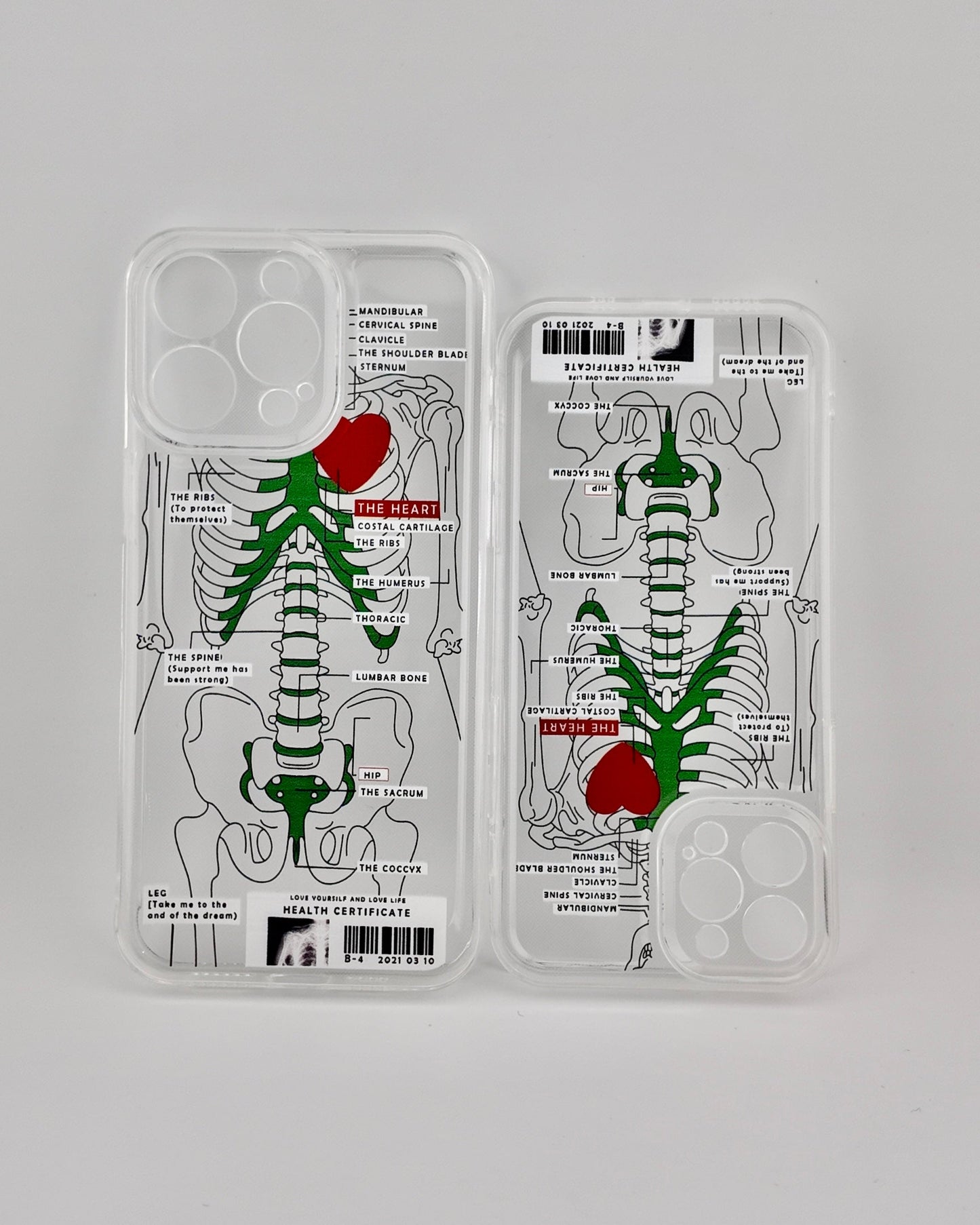 Funda de iPhone – Esqueleto Humano Elegante + Protección de Cámara